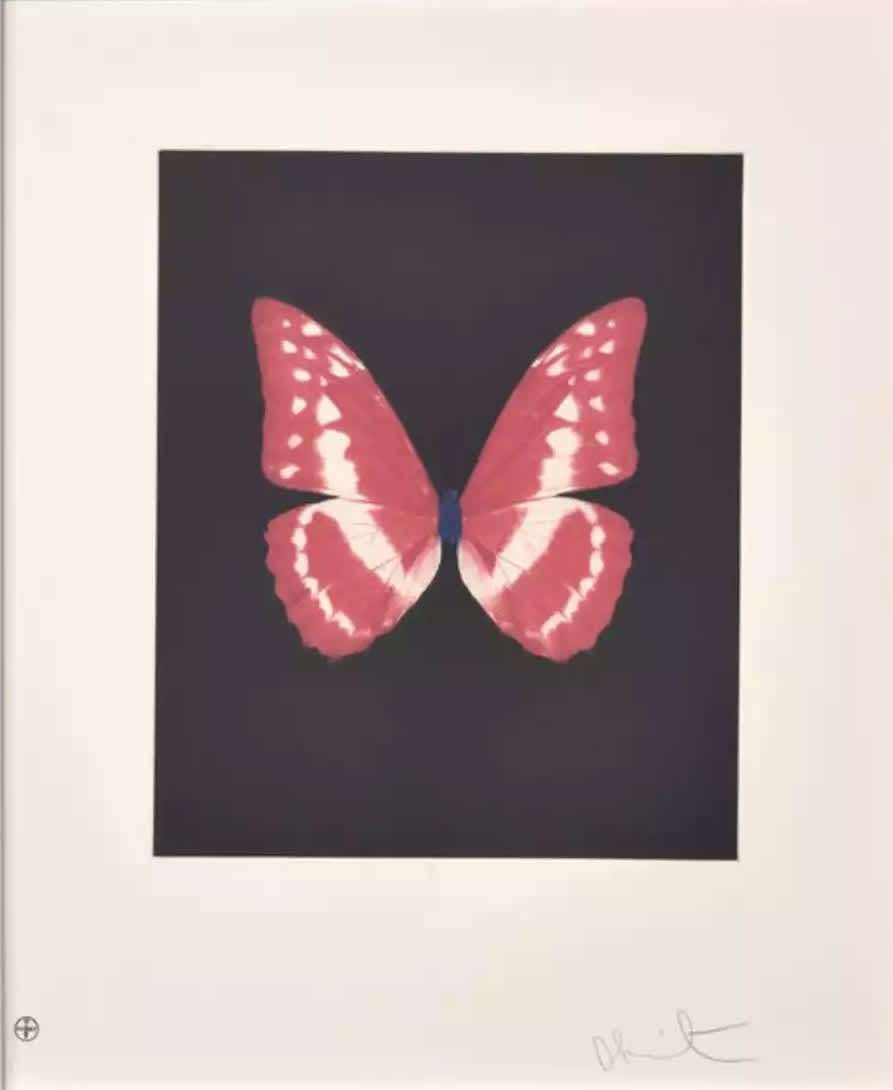 Damien Hirst, Butterfly (Eternal rest), 2009