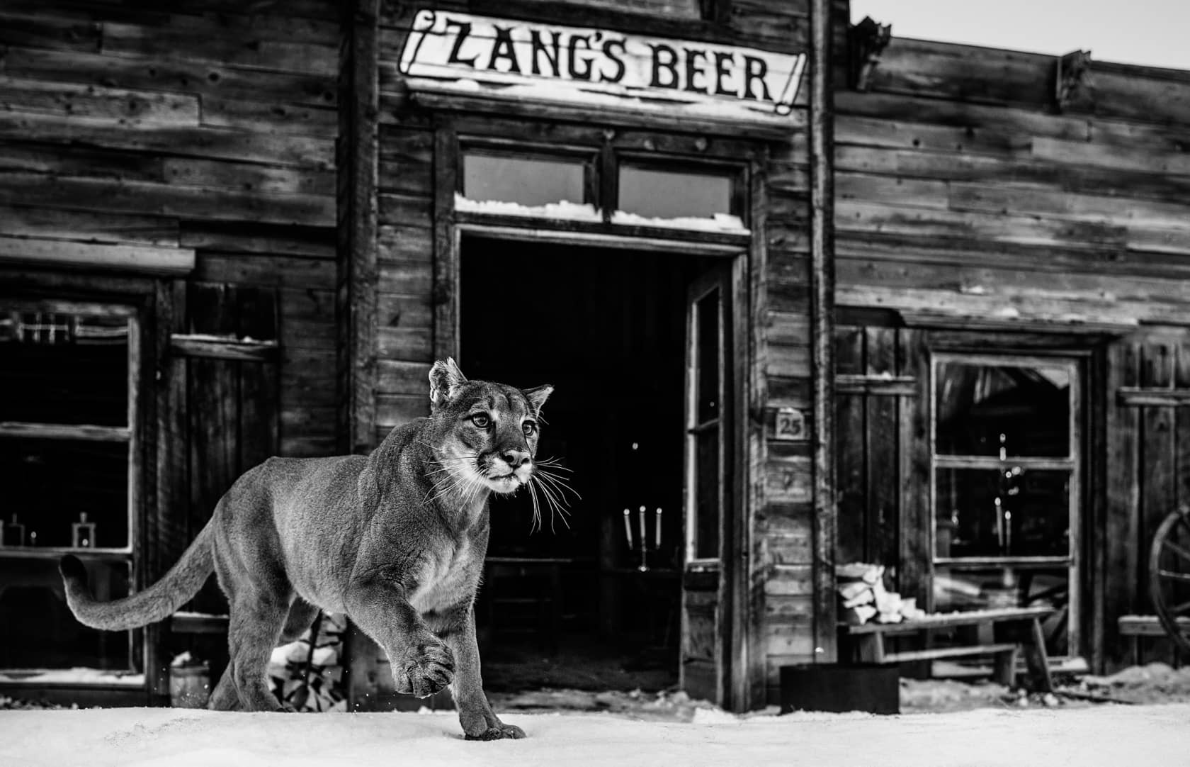 David Yarrow, It's Closing Time, 2015