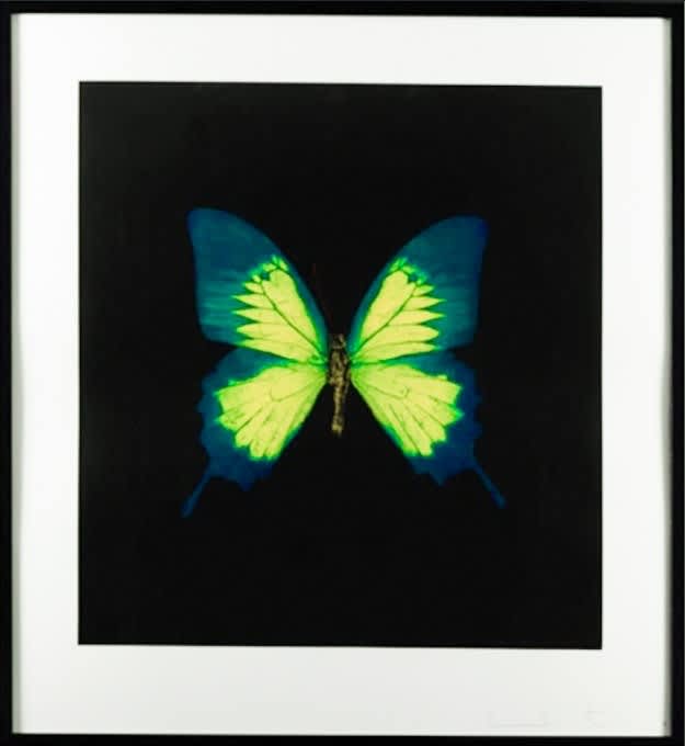 Damien Hirst The Souls on Jacob's Ladder Hand Ink Photogravure on Paper