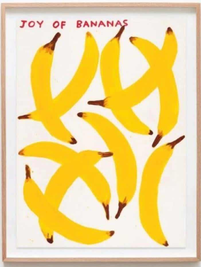 David Shrigley, Joy of Bananas, 2002