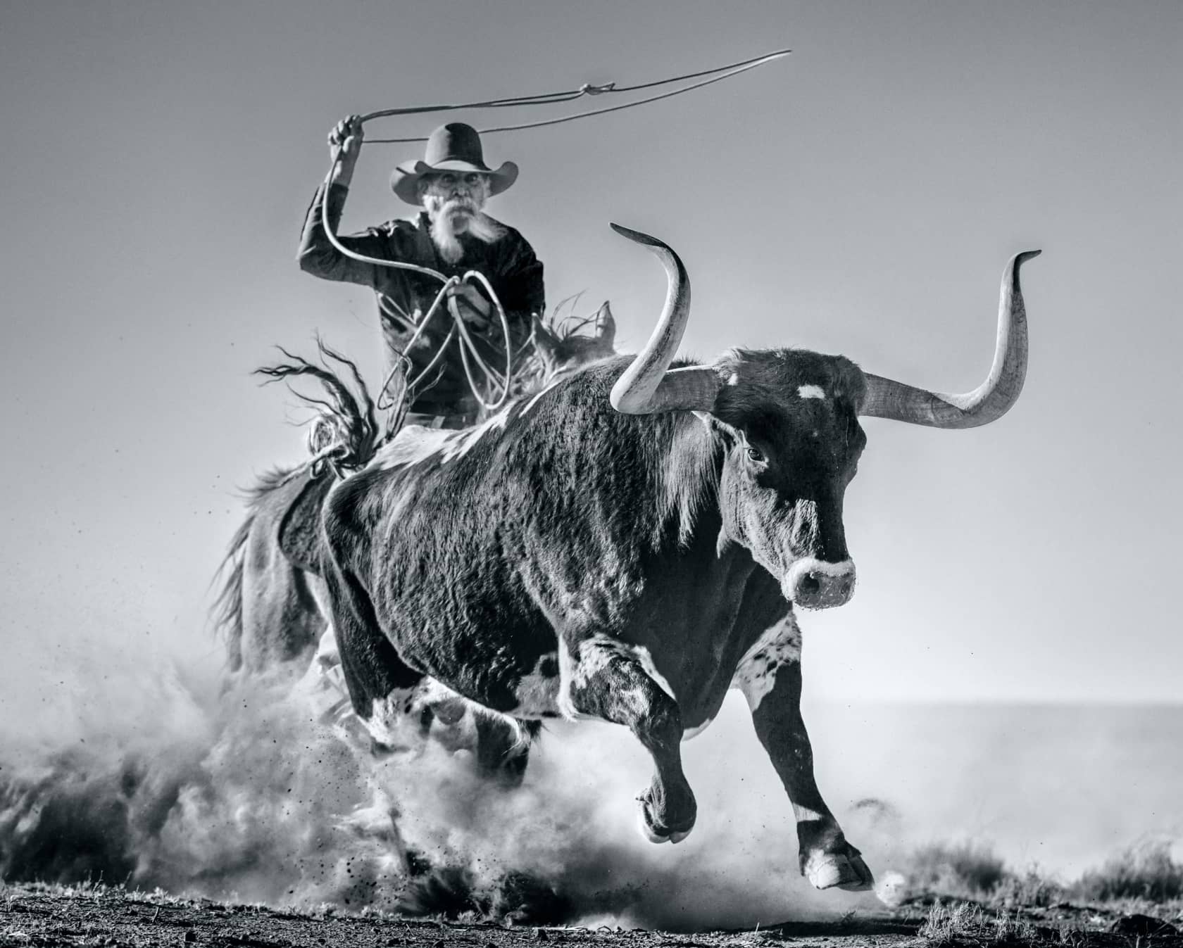 David Yarrow, Ain't My First Rodeo, 2021