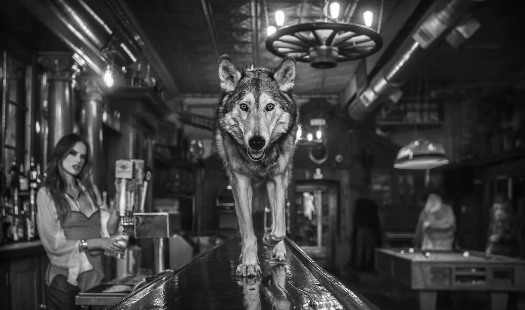 David Yarrow, Friday Night At The Pioneer, 2020