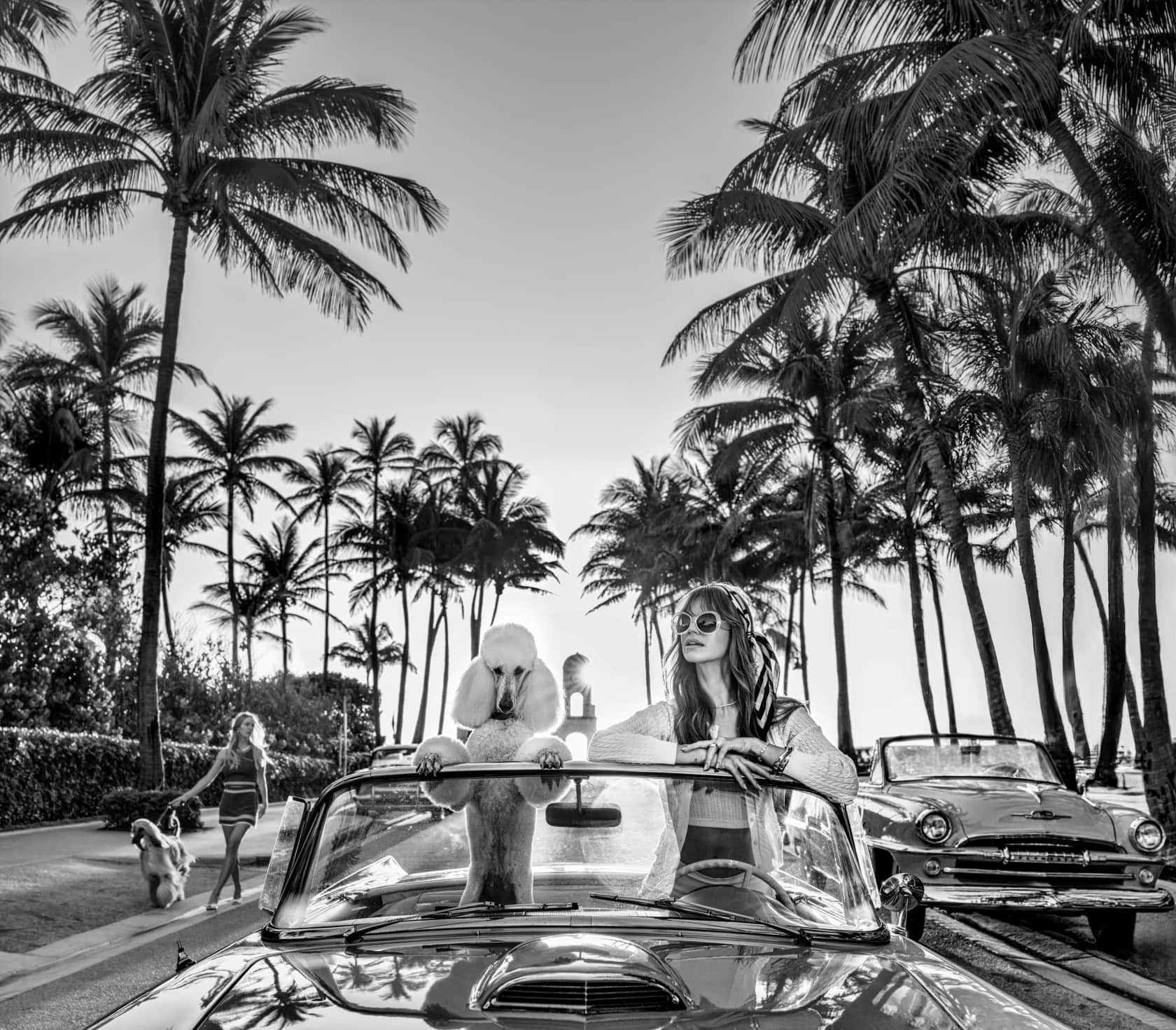 David Yarrow, Worth Avenue, 2025