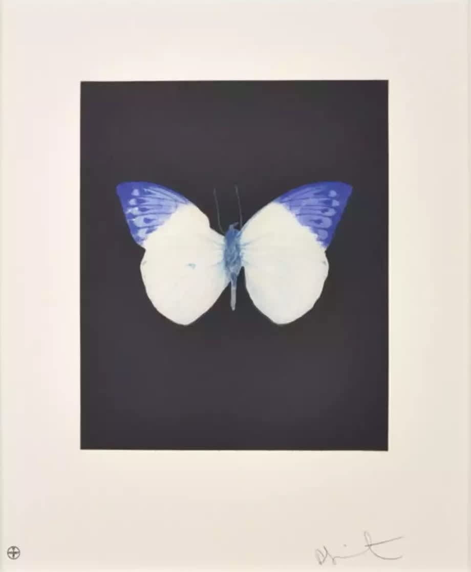 Damien Hirst Butterfly (Life) Etching