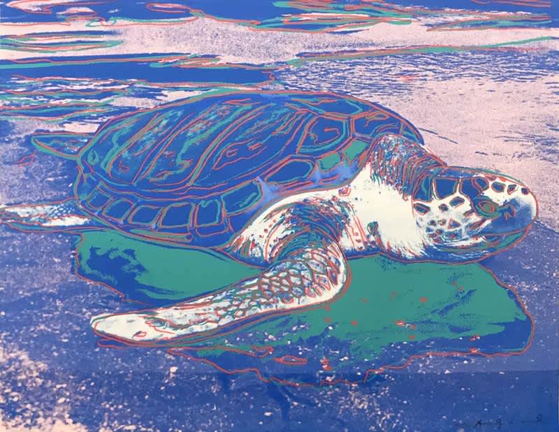 Andy Warhol, Turtle (FS II.360A), 1985