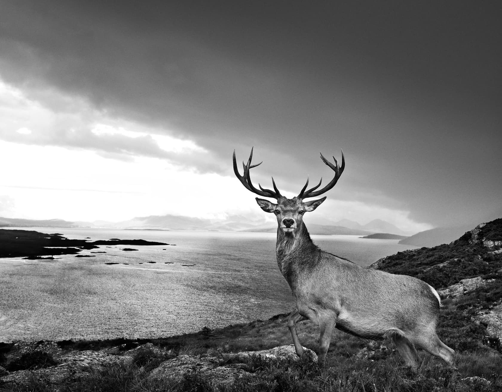 David Yarrow, Over The Sea To Skye, 2017