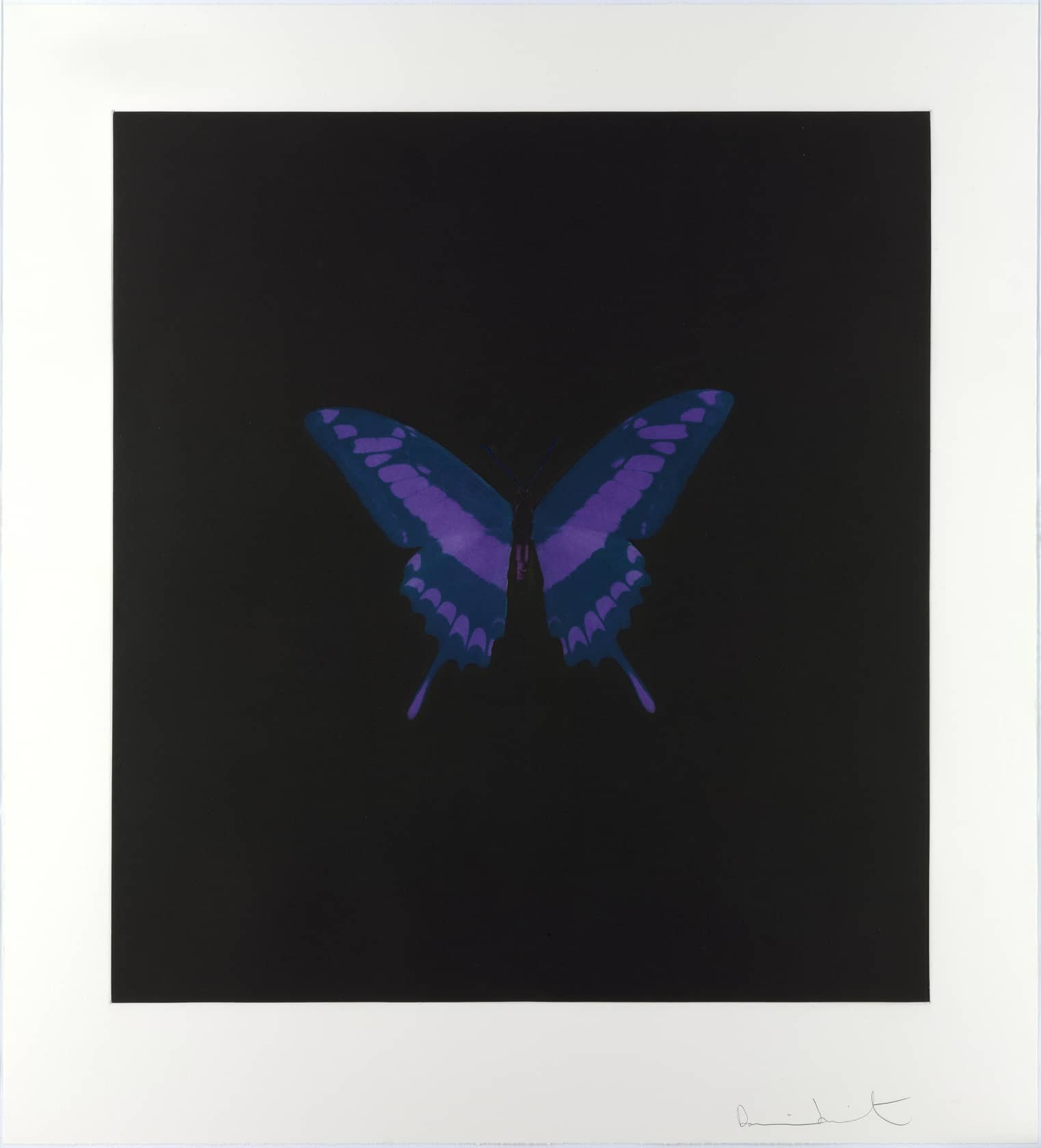 Damien Hirst, Purple Butterfly (Memento), 2008