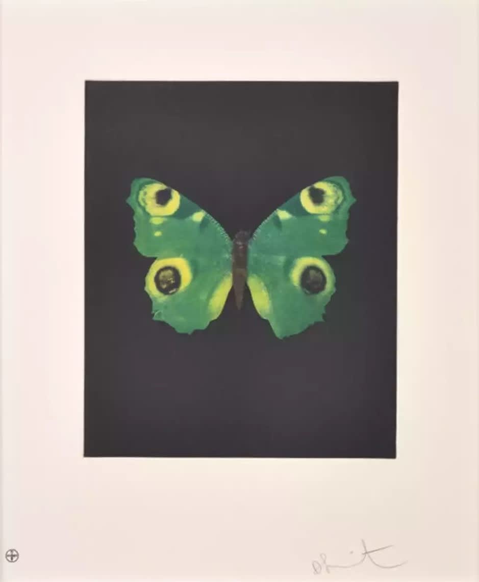 Damien Hirst, Butterfly (Fate), 2009