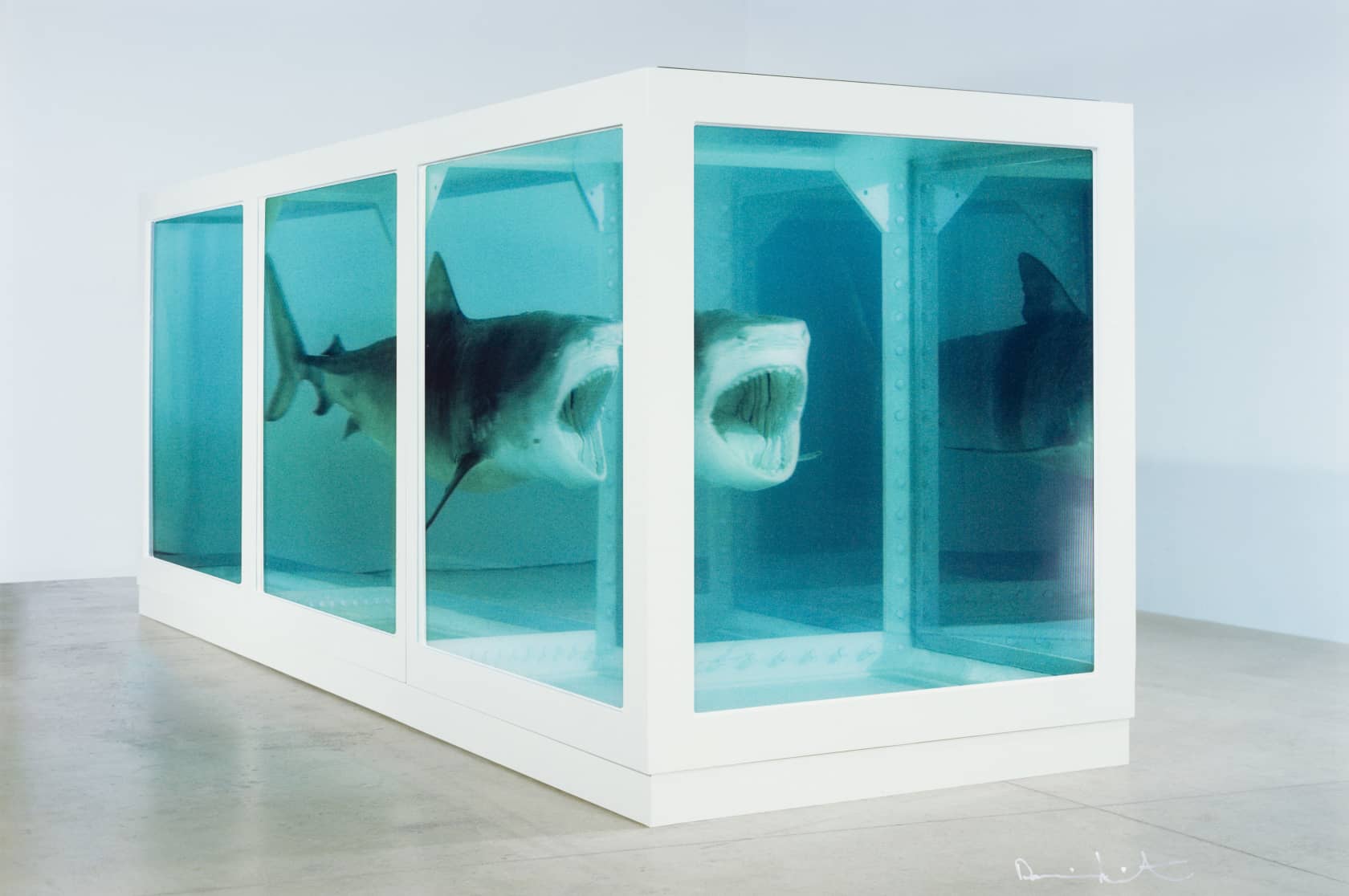 Damien Hirst, Physical Impossibility of Death in the Mind of Someone Living, 2013
