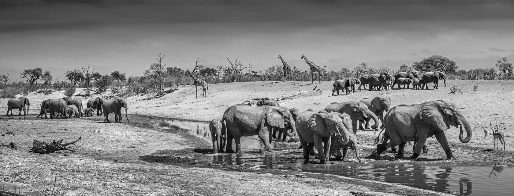 David Yarrow Before Man Archival Pigment Print