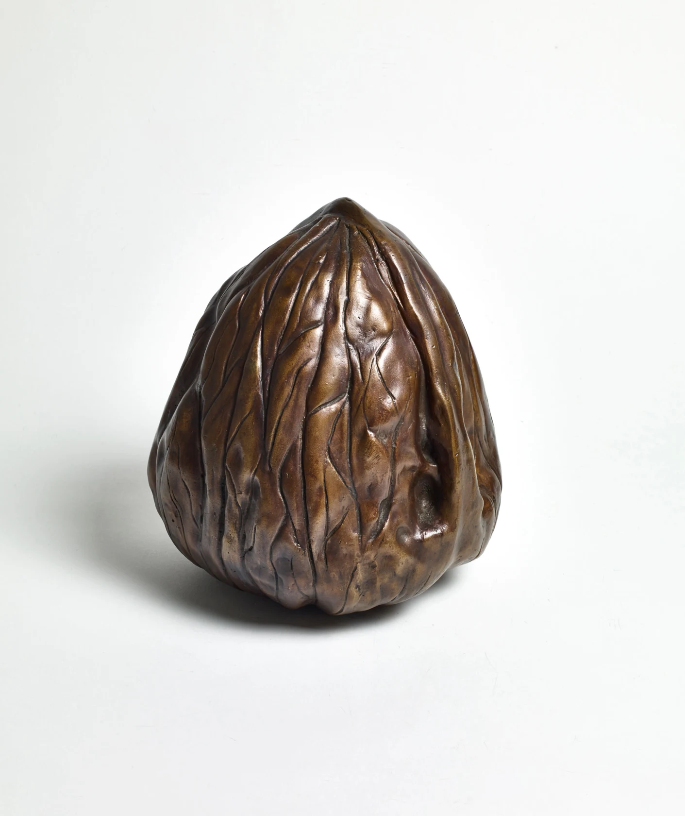 David Shrigley, Big Nut, 1996