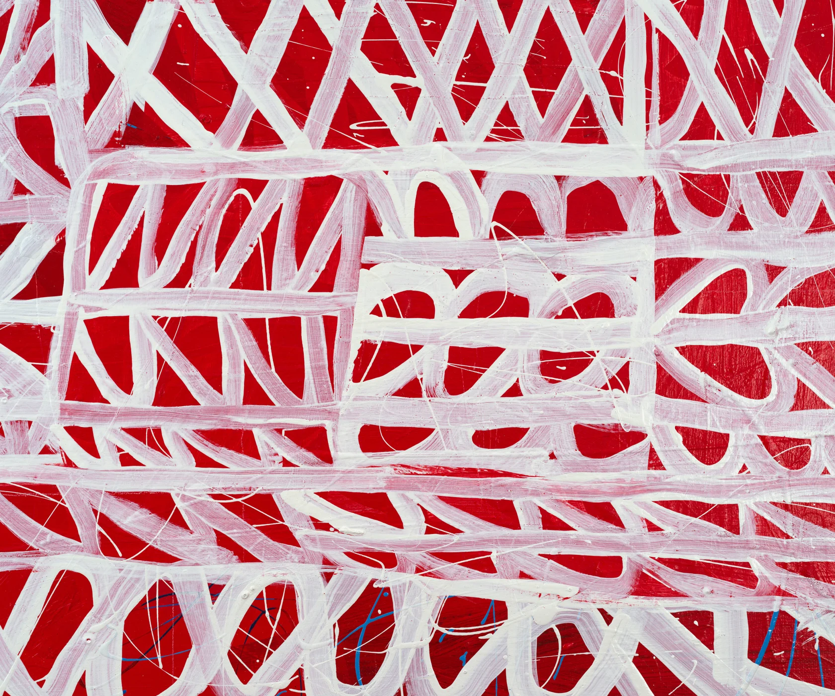 Pam Glick Rubber Fig, 2024