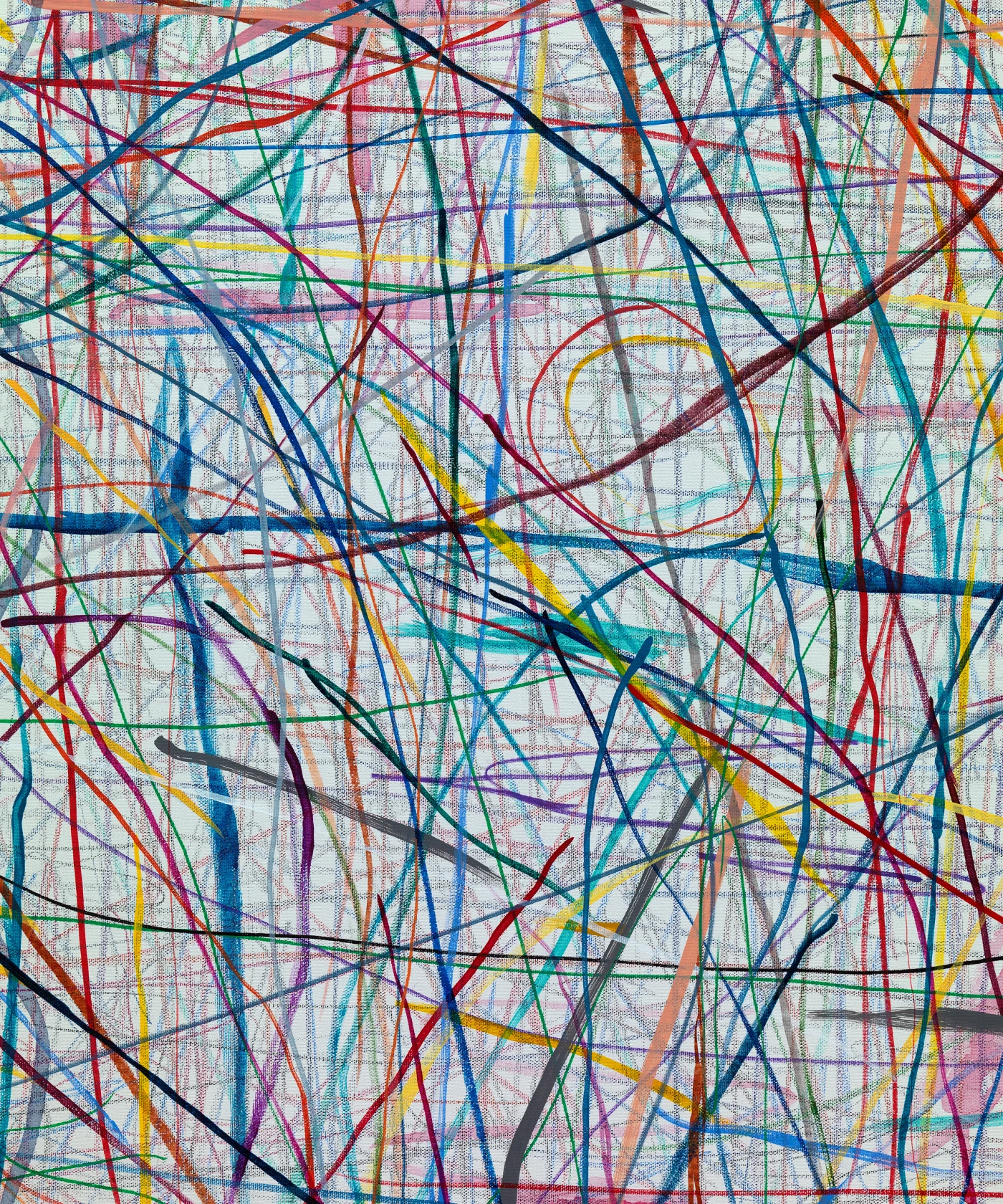 David Shrigley, Doesn't Can't, 2025