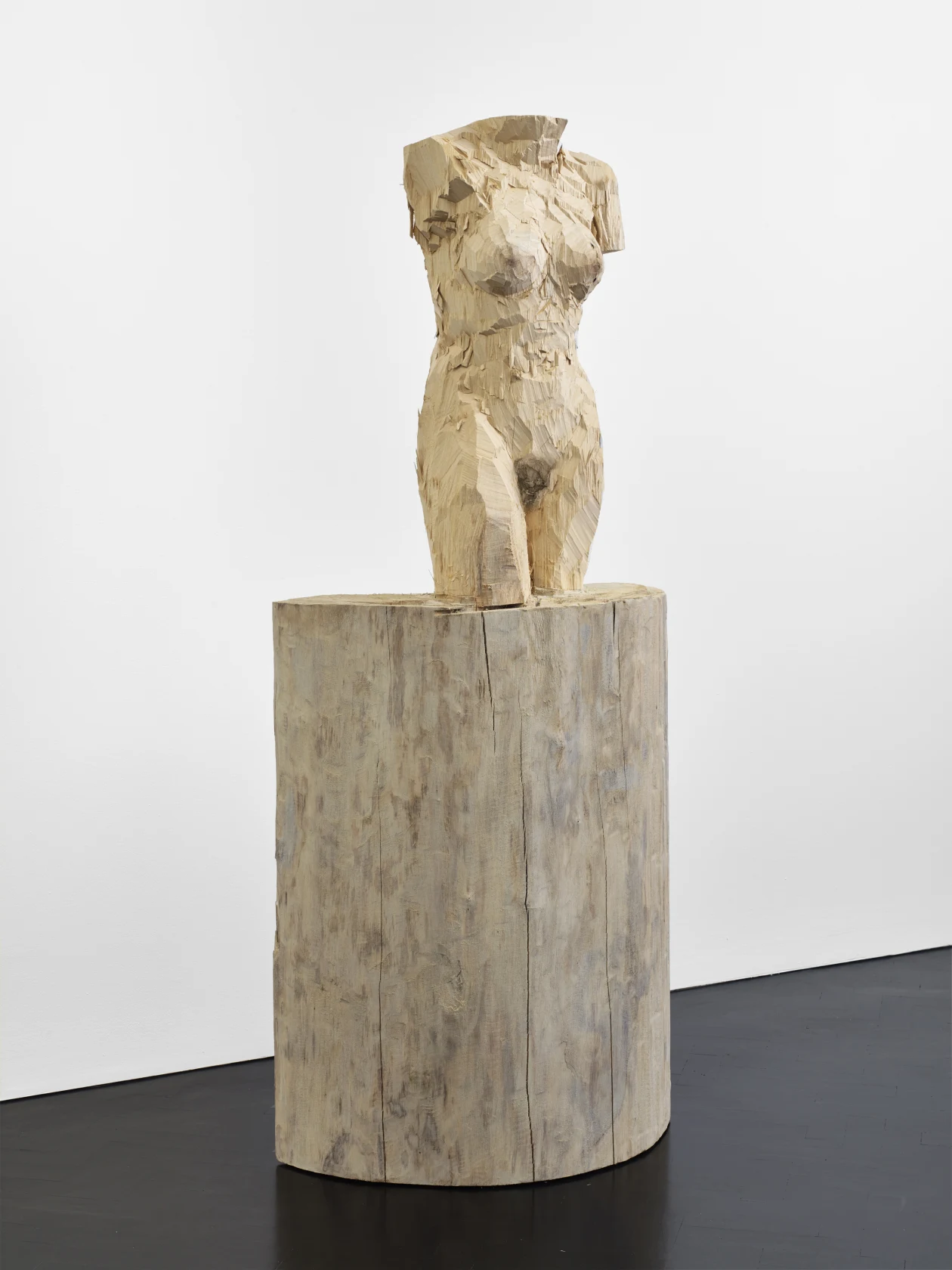 Stephan Balkenhol, Venus of Kassel, 2016