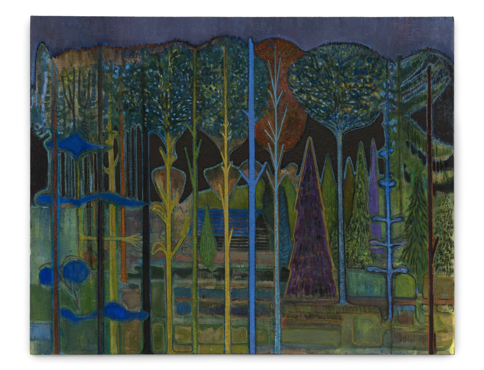 Sky Glabush Forest at Night, 2021