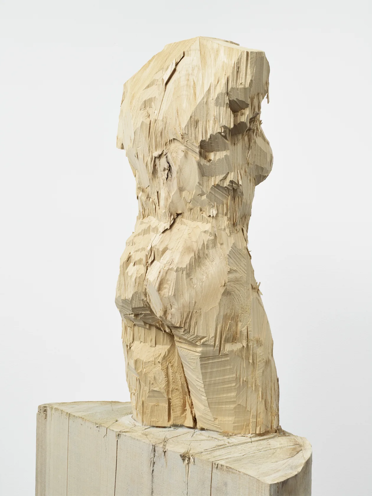 Stephan Balkenhol, Venus of Kassel, 2016