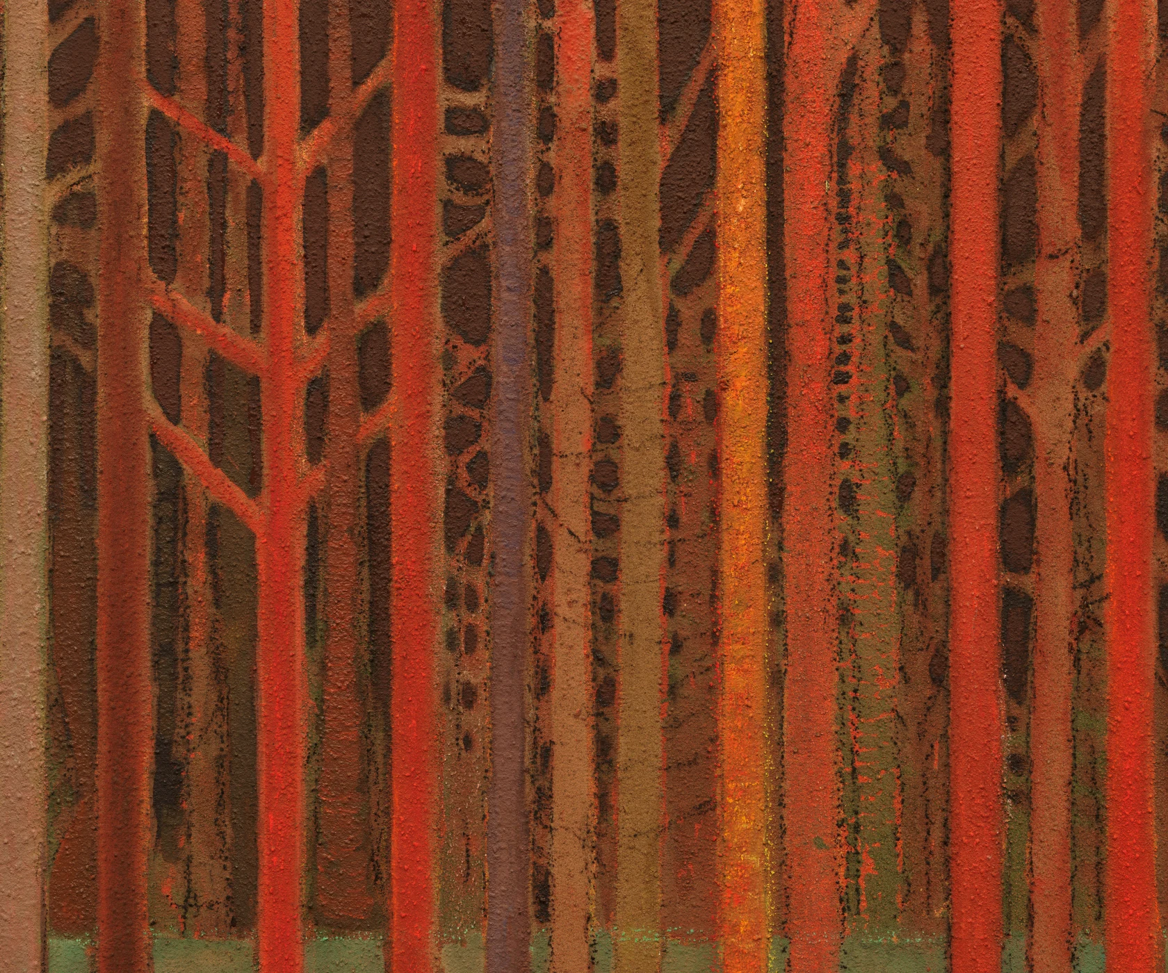 Sky Glabush Firelight in pine forest, 2024