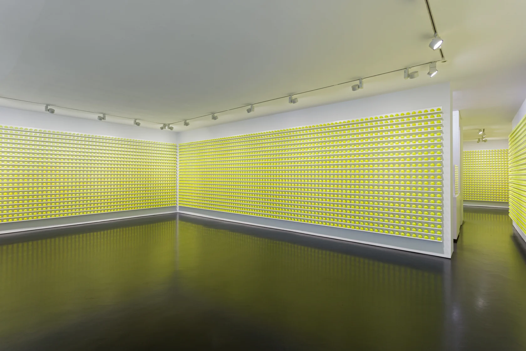 David Shrigley, Tennis Ball Exchange, 2021
