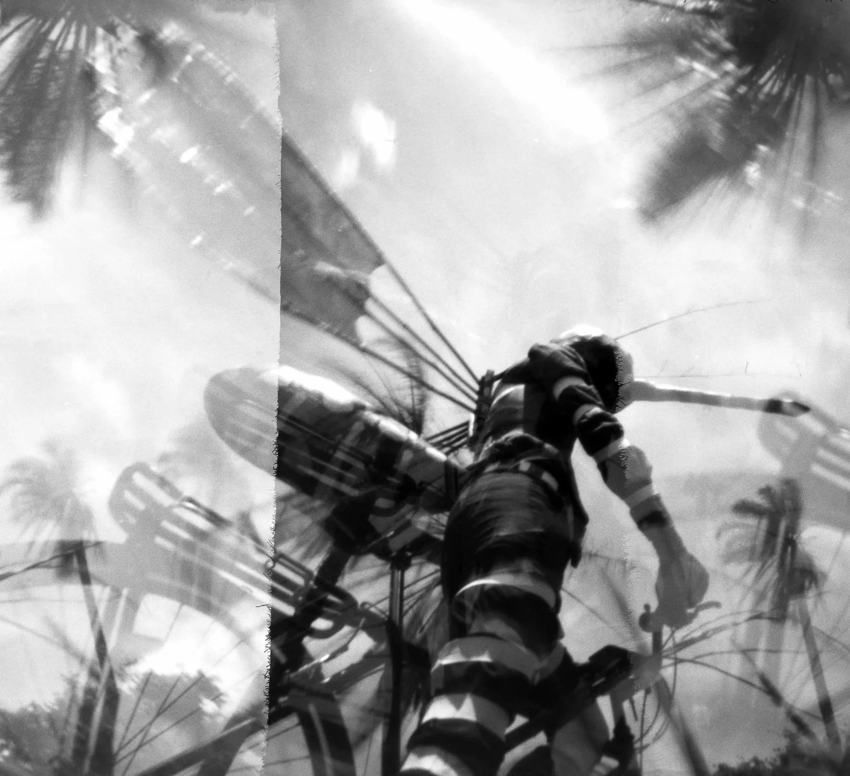 Rivane Neuenschwander, Fear of Fear (Dengue Fever), 2015