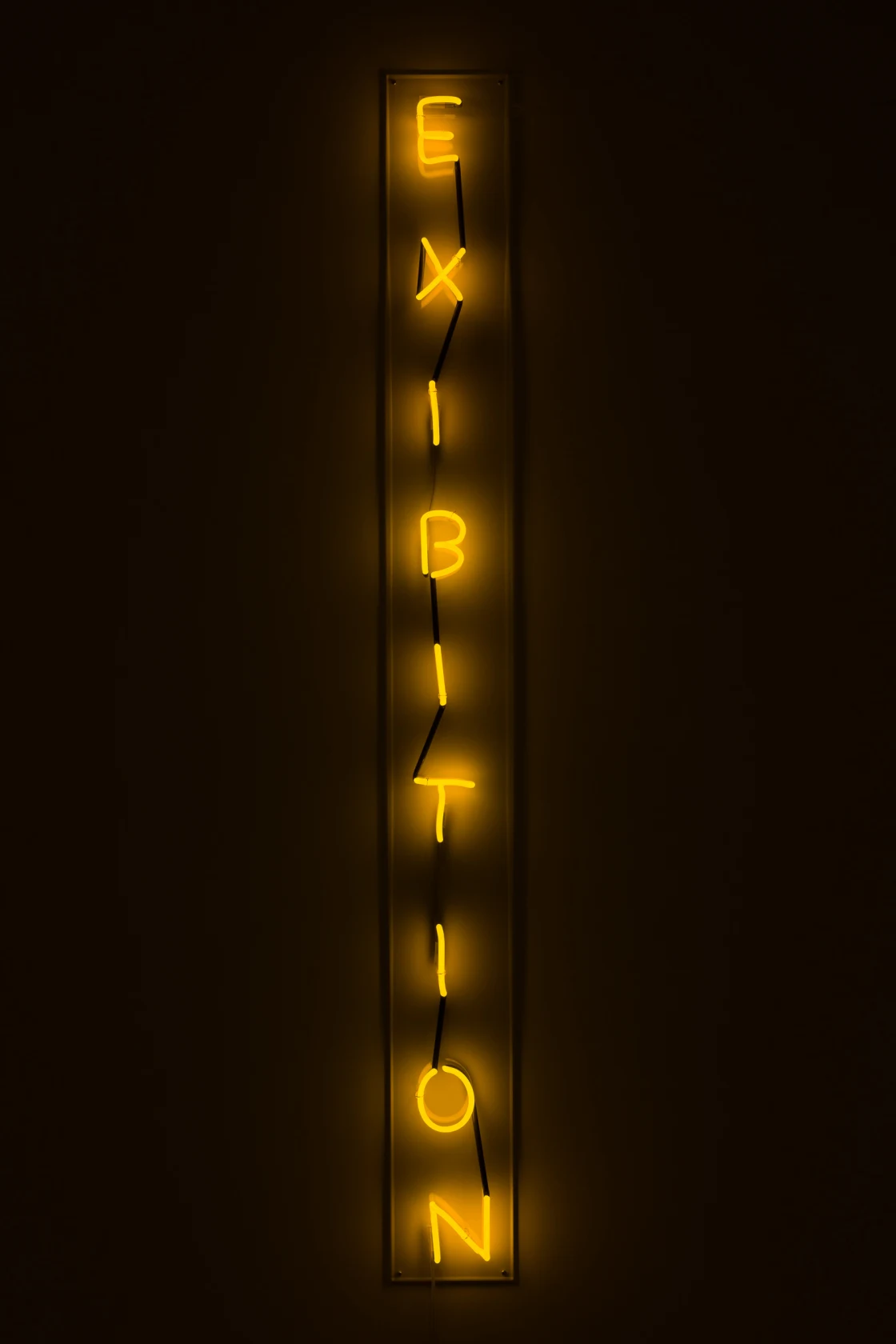 David Shrigley Exibition, 2018