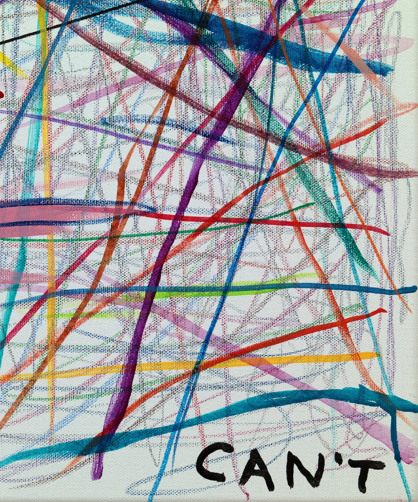 David Shrigley, Doesn't Can't, 2025