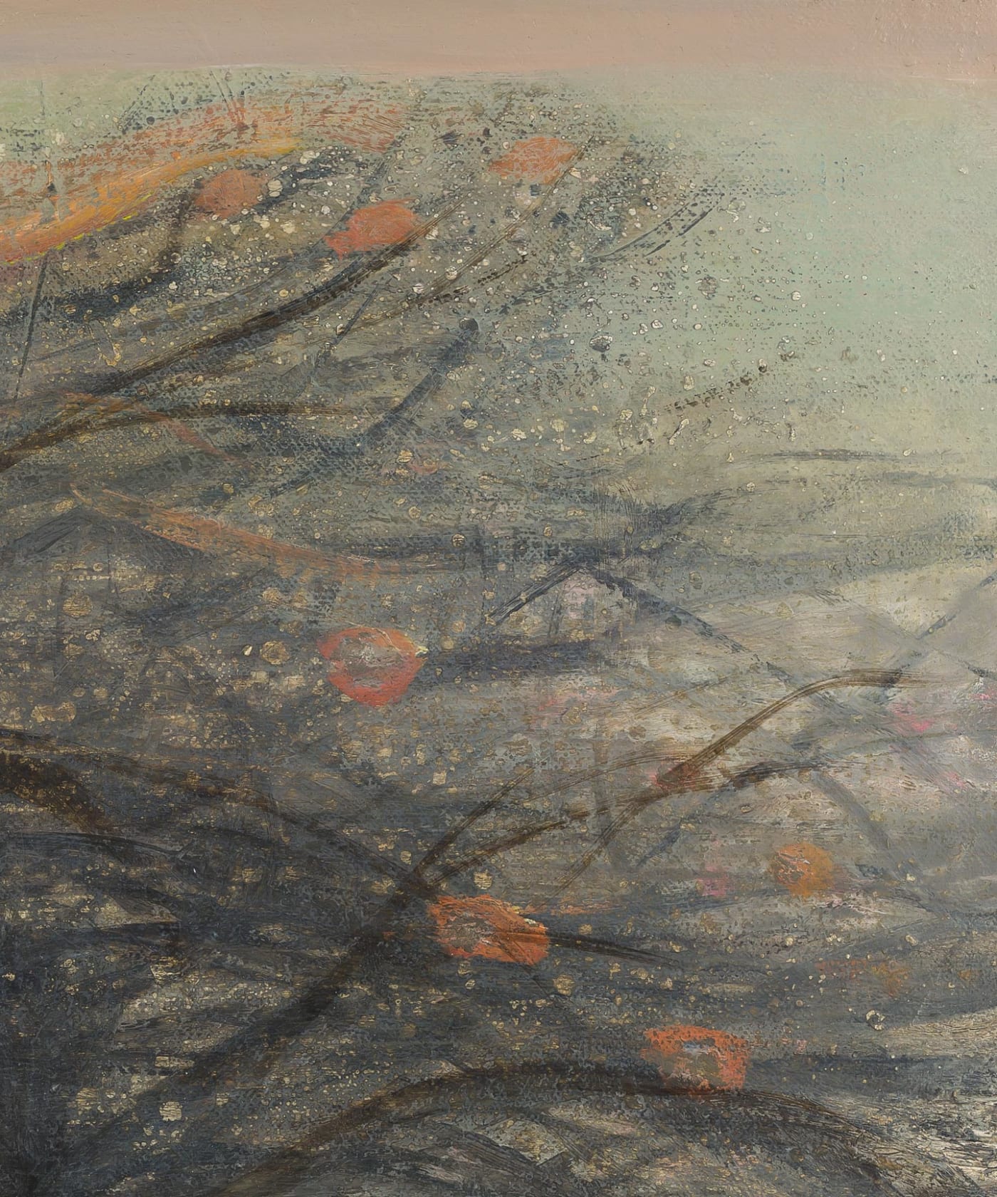 Ged Quinn Hobblebush, 2019