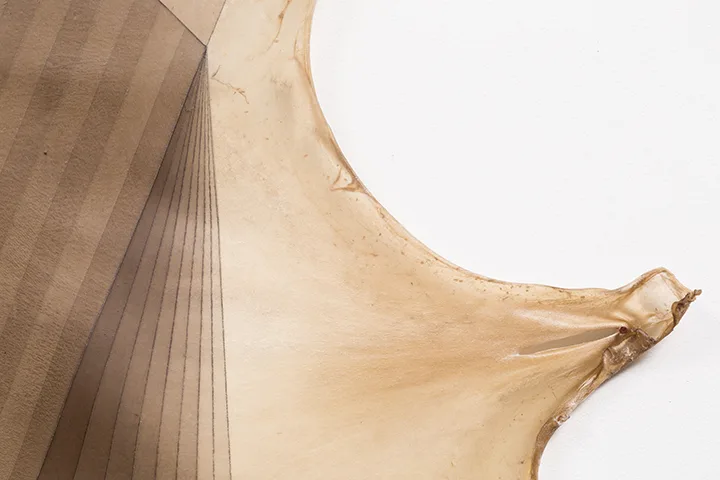 Jeffrey Gibson Document, 2015