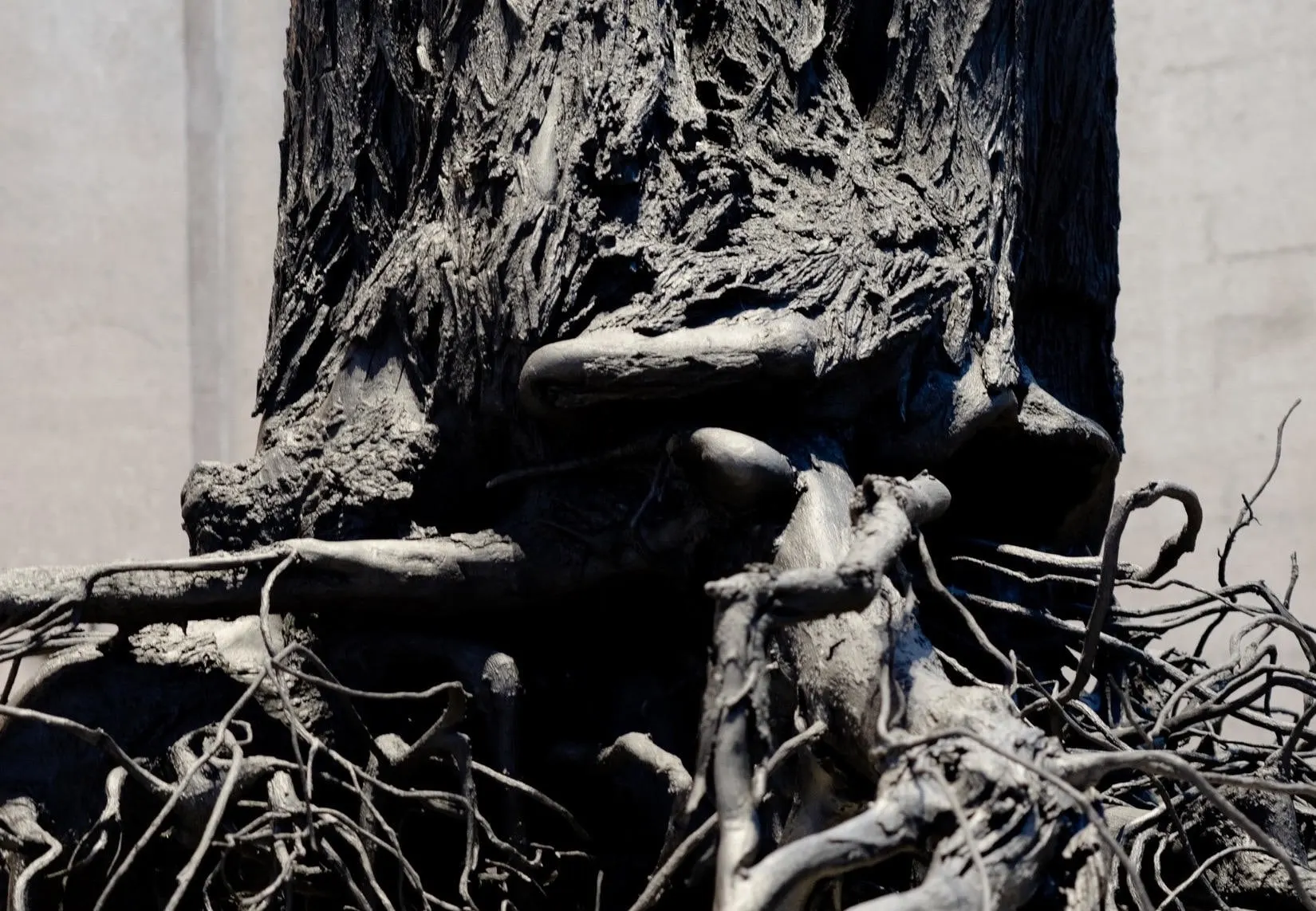 Jim Hodges Unearthed, 2015 - 2019