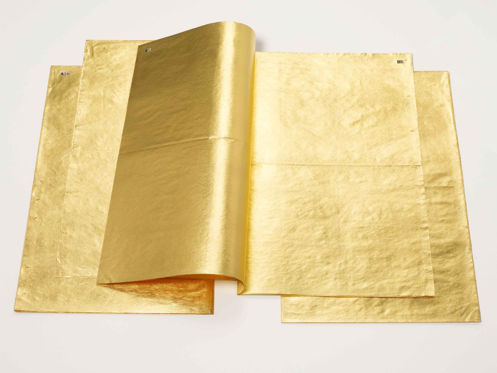 Jim Hodges, The Good News (A Tarde), 2010