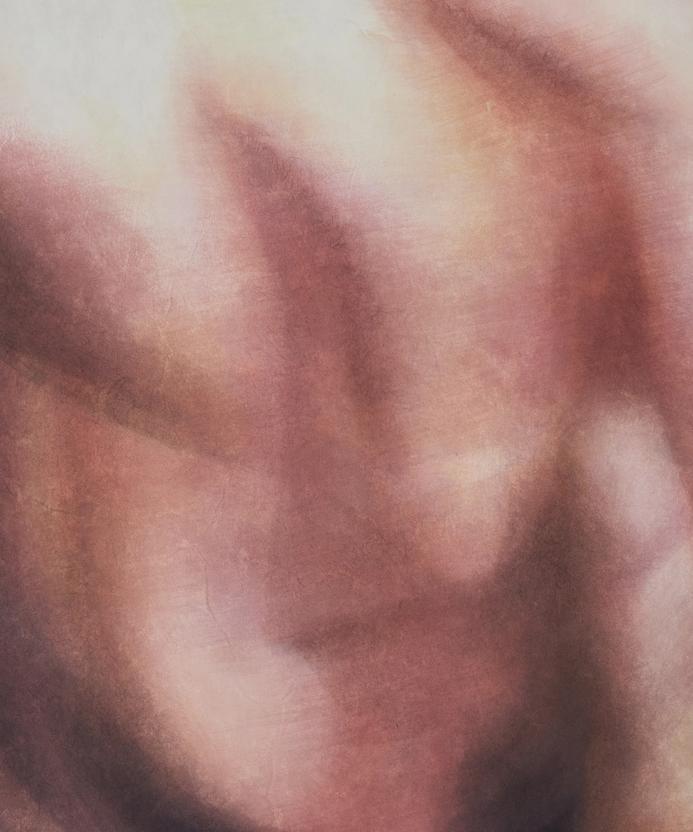 Yooyun Yang Out of Focus, 2023