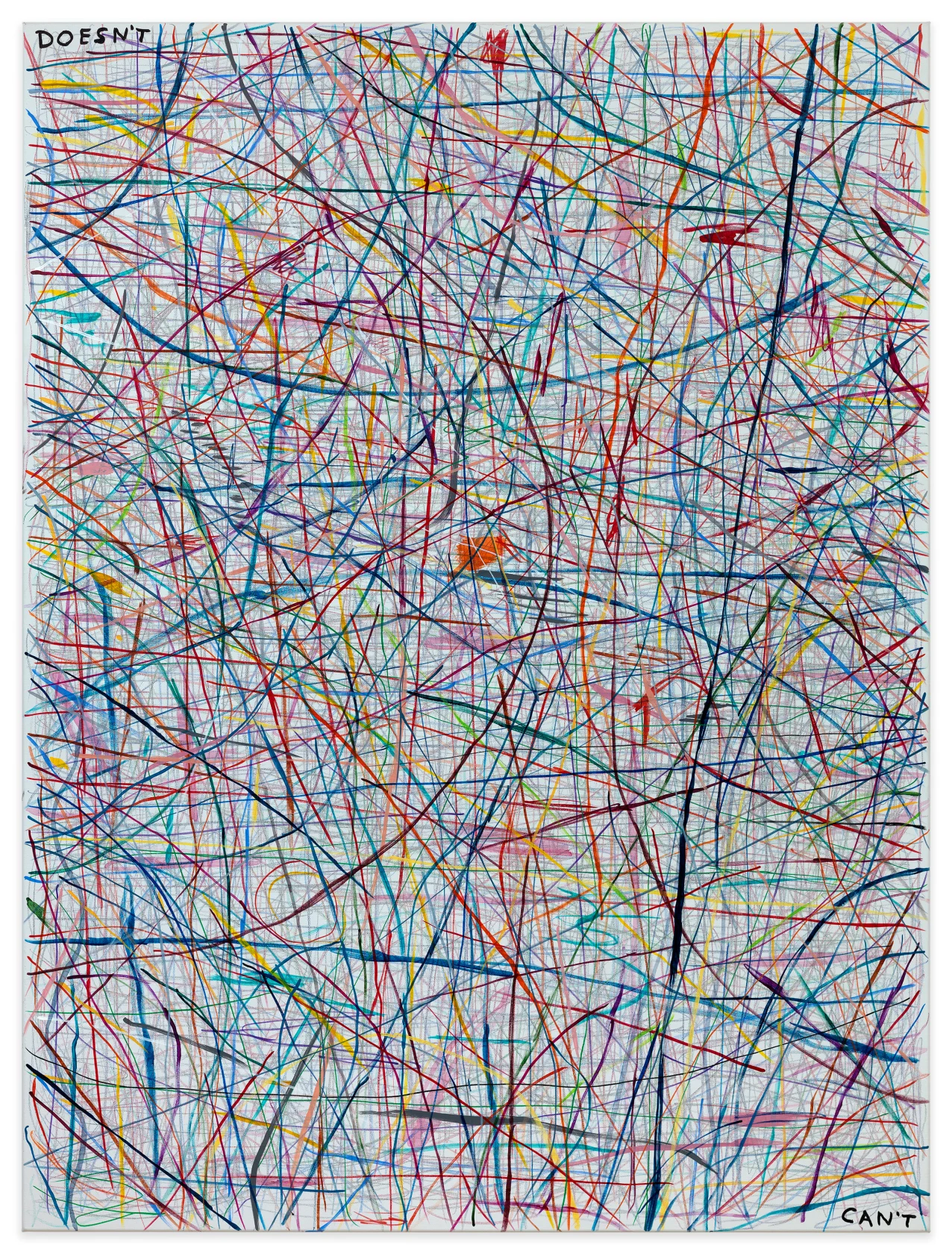David Shrigley, Doesn't Can't, 2025