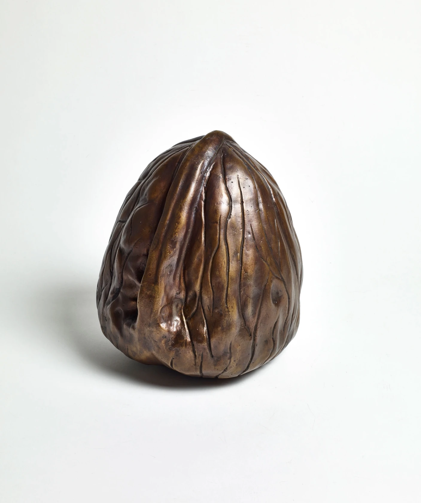 David Shrigley, Big Nut, 1996