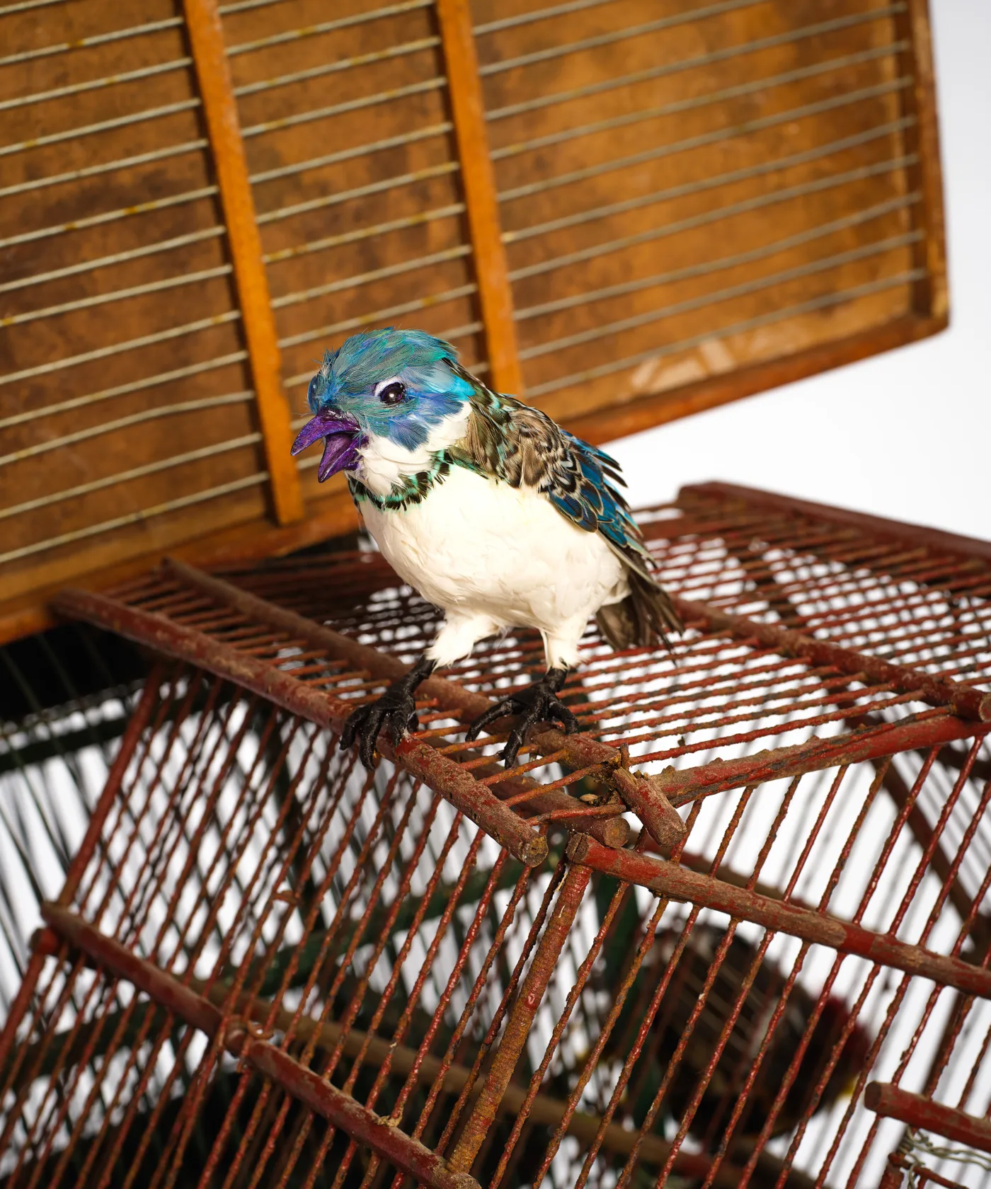 Yinka Shonibare Birdcage Man, 2023