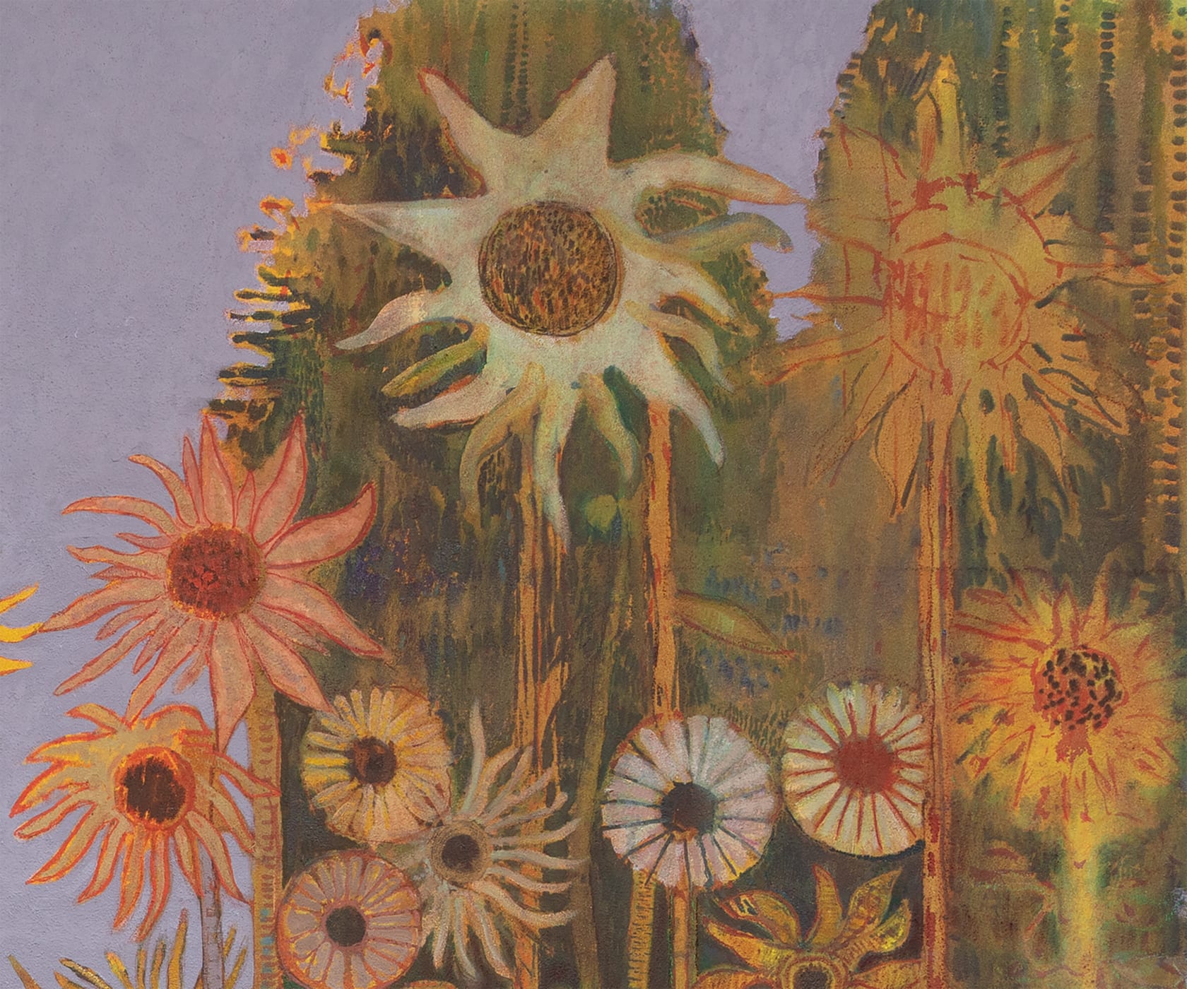 Sky Glabush Field of Sunflowers, 2022
