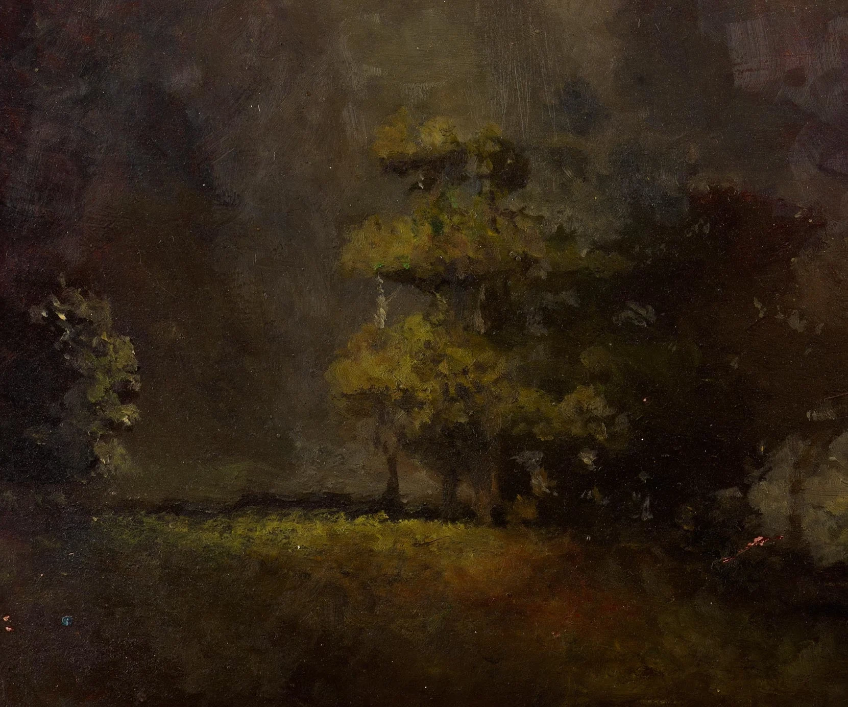 Juan Araujo, From the Series 'Arboles Iluminados I', 2003