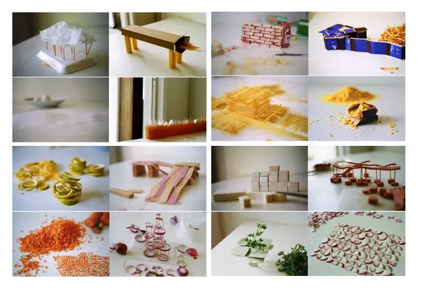 Rivane Neuenschwander, Canteiros / Conversations and Constructions, 2006