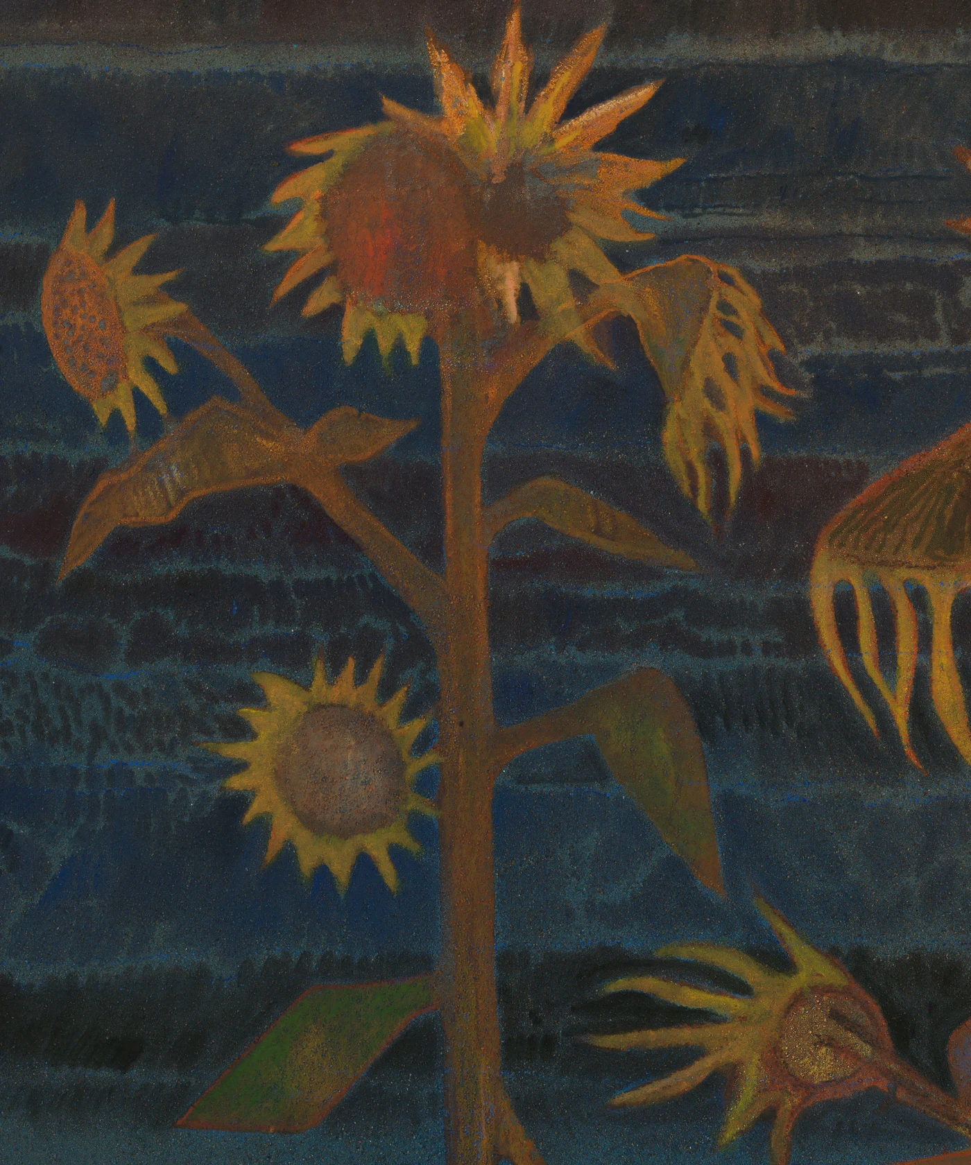 Sky Glabush Flowers at the North Sea, 2023
