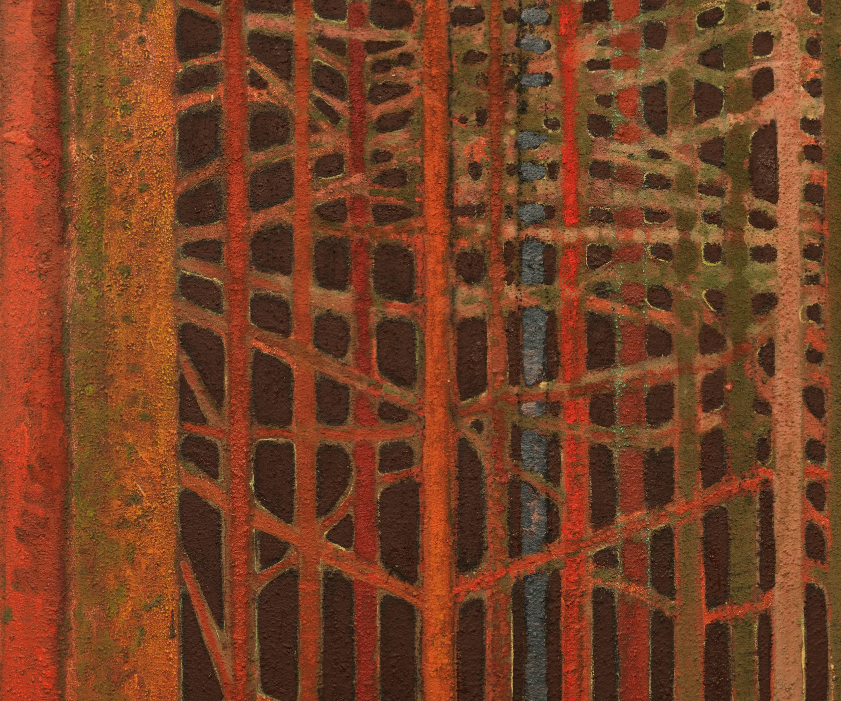 Sky Glabush Firelight in pine forest, 2024