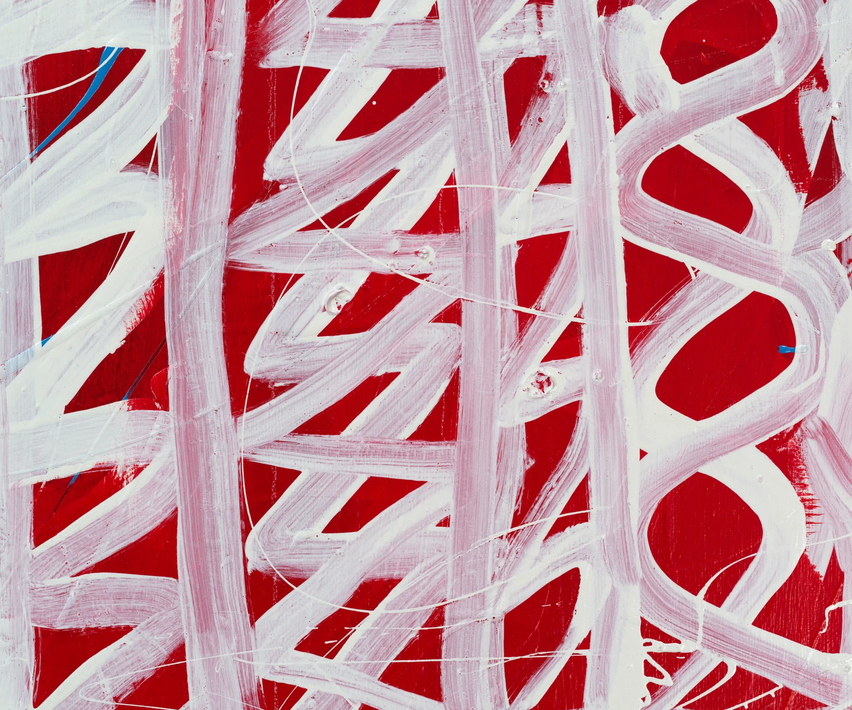 Pam Glick Rubber Fig, 2024