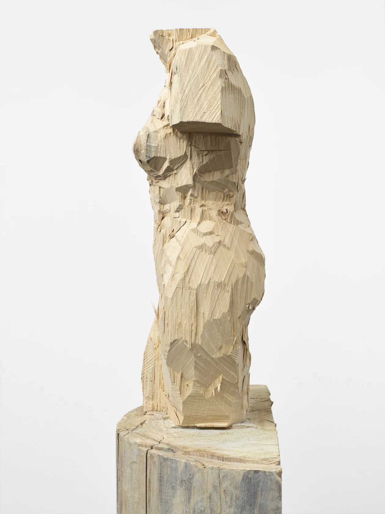 Stephan Balkenhol, Venus of Kassel, 2016