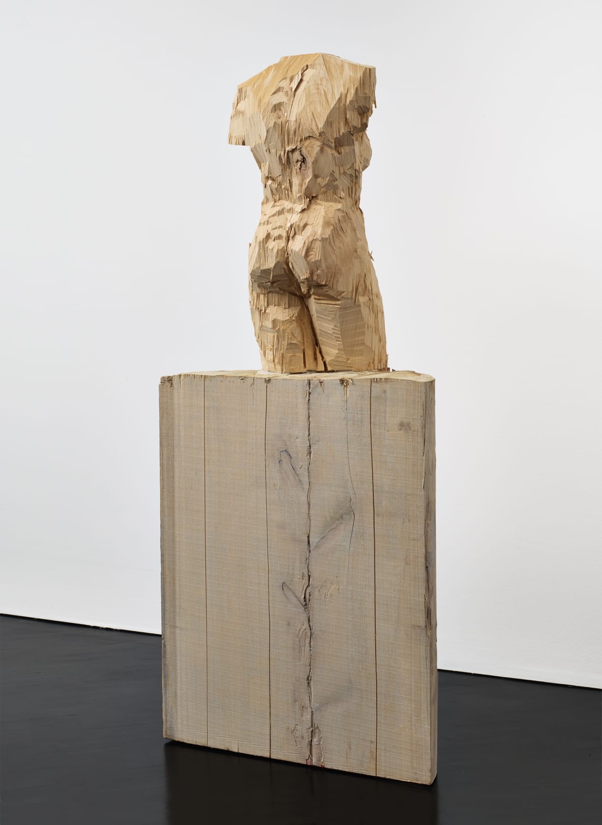 Stephan Balkenhol, Venus of Kassel, 2016