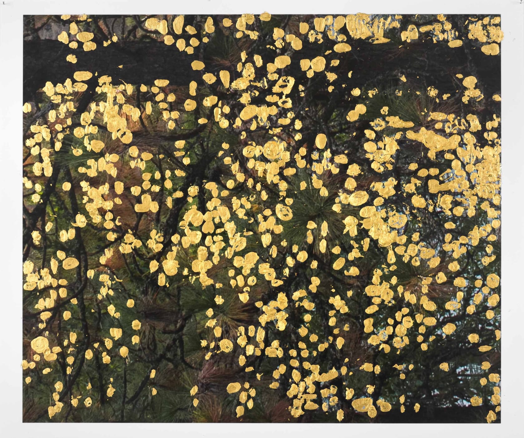 Jim Hodges, when you take me there, 2017