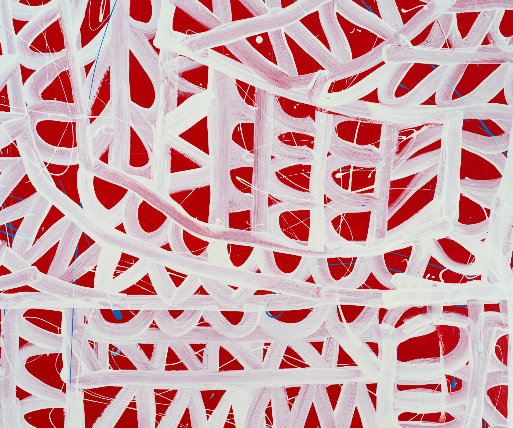 Pam Glick Pitch Pine, 2024