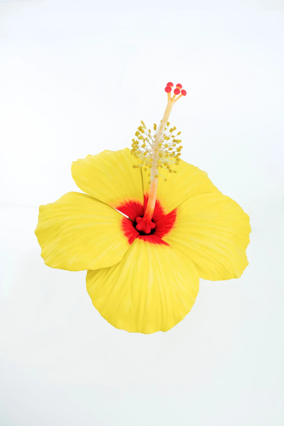 Yinka Shonibare, Boy Sitting Beside Hibiscus Flower, 2015