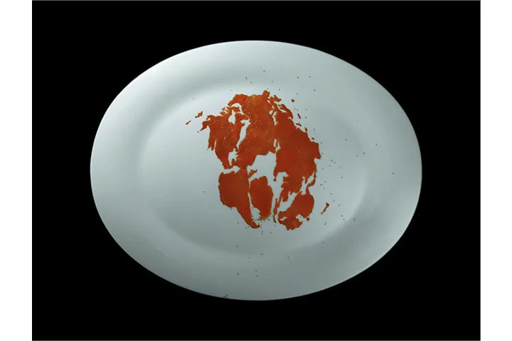 Rivane Neuenschwander, Pangaea’s Diaries, 2008