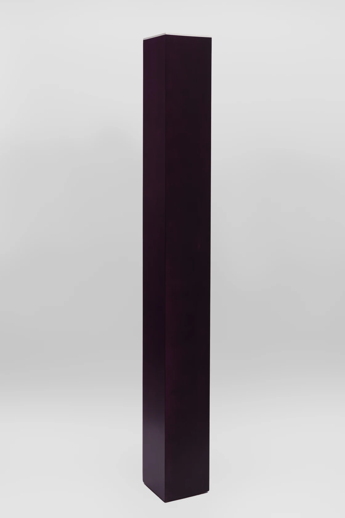 Anne Truitt Speak, 1988