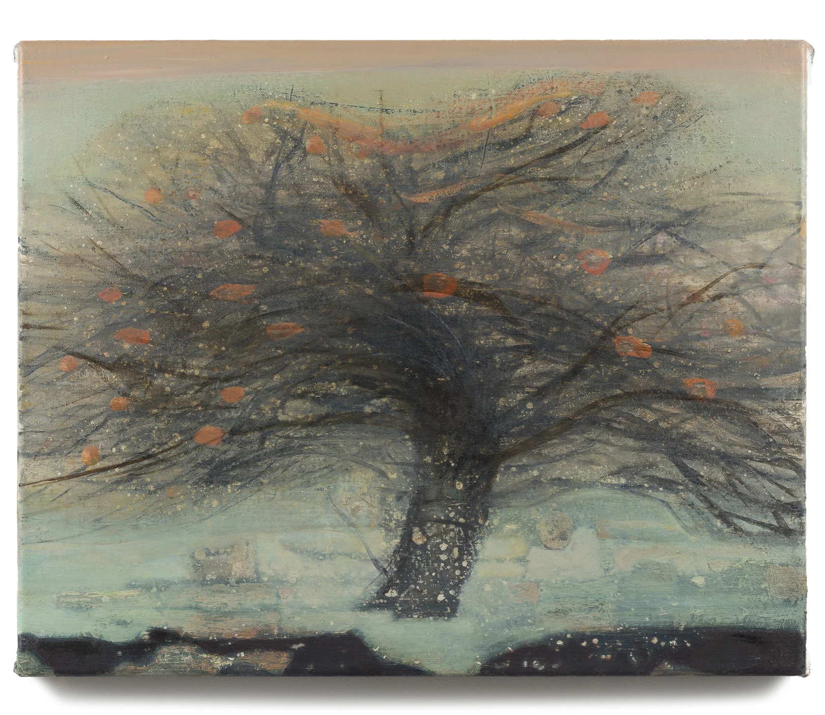 Ged Quinn Hobblebush, 2019