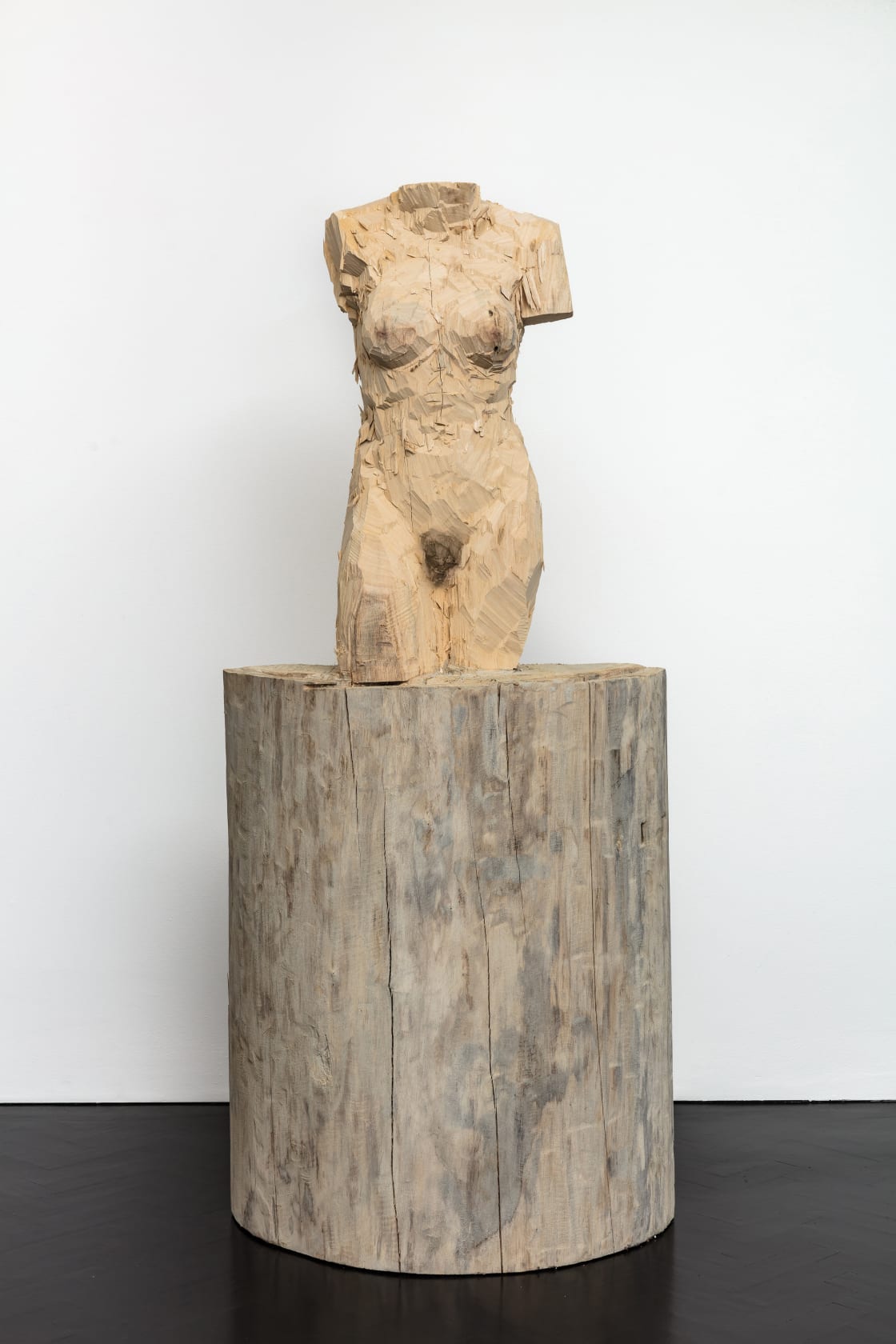 Stephan Balkenhol, Venus of Kassel, 2016