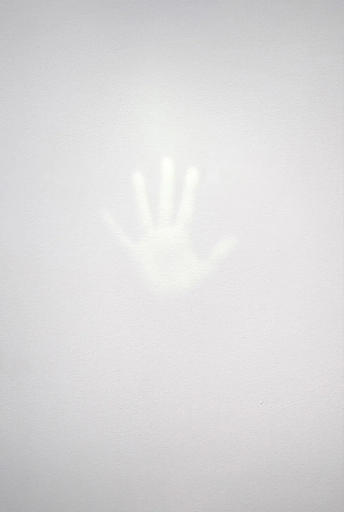 Tom Friedman Wall, 2017