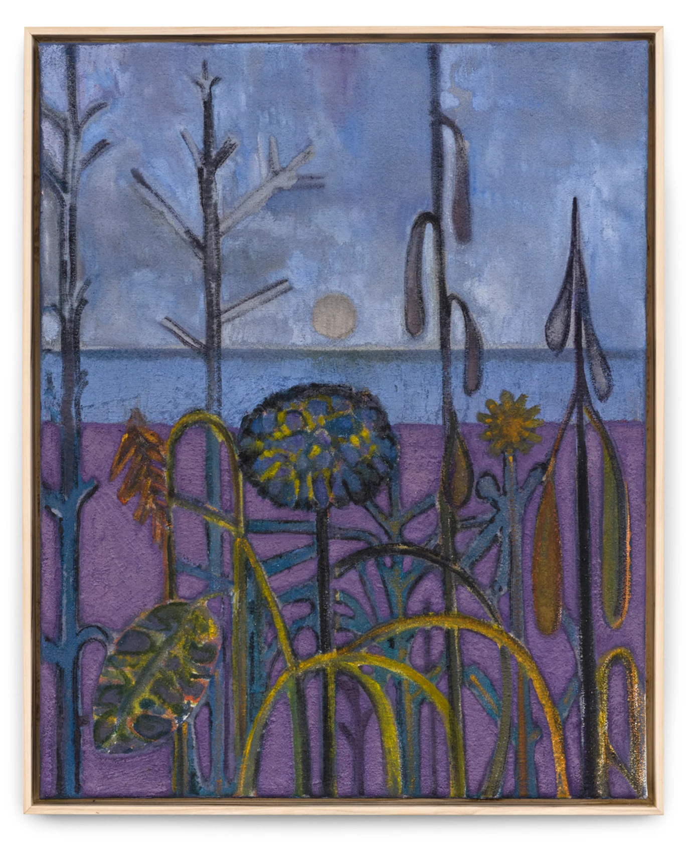 Sky Glabush Lavender Ground, 2021